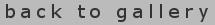 back to gallery button